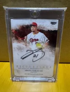 Item thumbnail for item c6fc7ea2-a1aa-46d2-8546-e07a0bc8d055