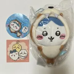 Item thumbnail for item 48afb9d4-47c4-4c58-9805-11404a63a5ef