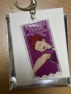 ハイキュー 10th トレーディングアクリルキーホルダー Ver.B 天童覚