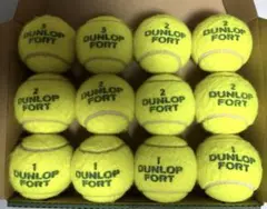DUNLOP FORT 硬式テニスボール 12球セット ダンロップ フォート