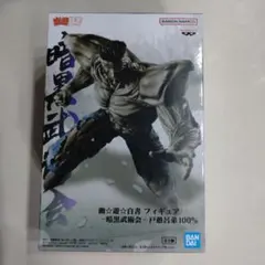 幽☆遊☆白書 フィギュア -暗黒武術会- 戸愚呂弟 100%