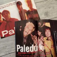 Paledusk 切り抜き　ロッキンオンジャパン　まとめ売り