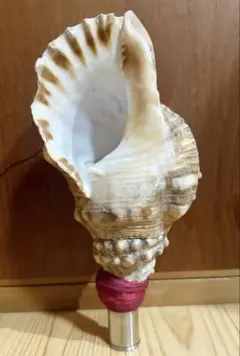 Item thumbnail for item 47888f92-f58d-4d72-a626-767f18fc6526