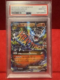 2026年最新】リザードンex psa10 プロモの人気アイテム - メルカリ