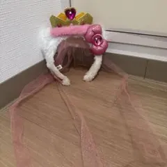 キティ＆ピーチ姫 カチューシャ　公式　USJ