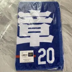 Item thumbnail for item af60f6de-d380-4a4c-8508-ec186fd56bca