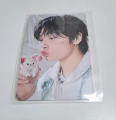 straykids スキズ ペンミ 4/5 入場特典 トレカ アイエン