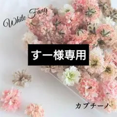 すー様 リクエスト 2点 まとめ商品