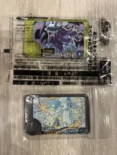 ポケモンフレンダ ワンダーピック ベストタッグ第3弾 アローラキュウコン