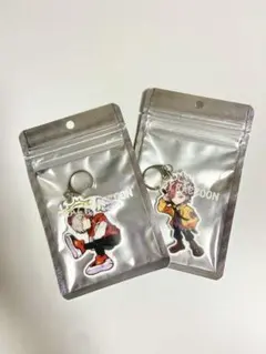 Crazy Raccoon キーチェーン だるまいずごっど　ありさか