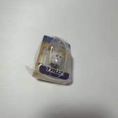 TRUZ YOCHI ブリスターチャームコレクション
