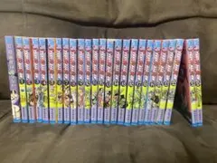 ジョジョの奇妙な冒険７部　全巻セット