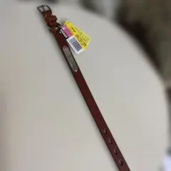 Item thumbnail for item 6e4c85aa-fe2e-4e3d-8041-66b86c06aaec