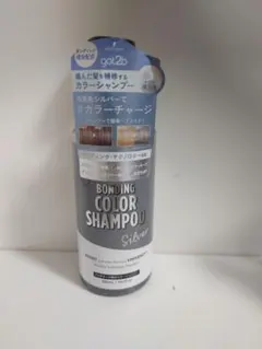 got2b ボンディング カラーシャンプー シルバー 300mlのサムネイル