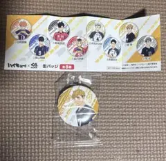 ハイキュー!! 日向翔陽 缶バッジ くら寿司コラボ