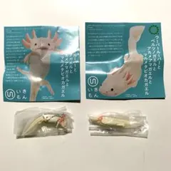 ネイチャーテクニカラー ウーパールーパー マグネット ボールチェーン 2種