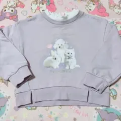 Item thumbnail for item 60a67ba8-0b88-4761-ade1-8d19c0f091aa