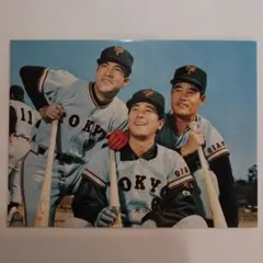 2025年最新】カルビー ベースボールカードアルバムの人気アイテム