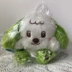 いないいないばあっ！ワンワン&ぽぅぽ&ゴットンのぬいぐるみ　ワンワン