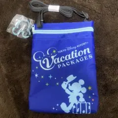 東京ディズニーリゾート ポーチ ミッキー　バケーションパッケージ　①