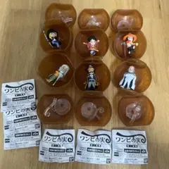 ワンピの実 第三海戦 コンプリートセット フルコンプ