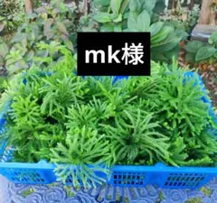 mk様専用