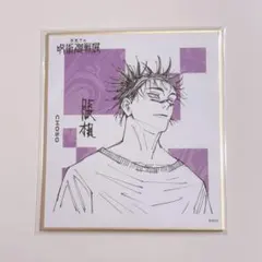 呪術廻戦展 色紙コレクション　全種セット（全24種入り） グッズ | 芥見下々『呪術廻戦』展