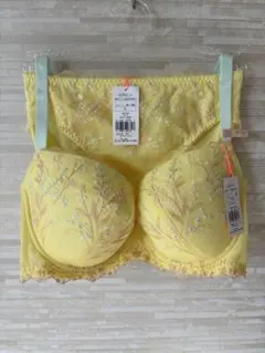 F75L」トリンプ チャーミングラマースリムライン フローラルハグ ブラショーツ