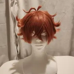 ツイステ エース ウィッグ