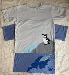 無印Tシャツ 140 ペンギン イルカのサムネイル