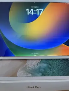 【画質めっちゃキレイ！】iPadPro 12.9 256GB