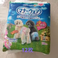 Item thumbnail for item 6a82f2e1-75a7-4ea3-bf67-8e672c199b33