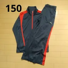 PUMA ジャージ ネイビー/レッド 150