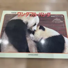 写真集　ワンダフルパンダ　海老澤アルフレード