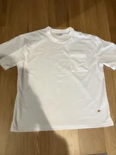 GOLDEN BEAR ホワイト Tシャツ L アイボリー　天竺Tシャツ