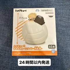 ハイキュー 月島蛍 すやすやルームライト