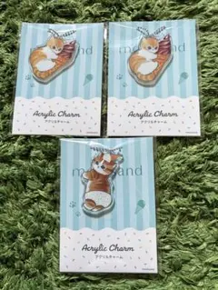 モフサンド　アクリルチャーム3個セット