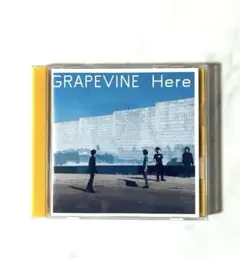 2026年最新】grapevine lpの人気アイテム - メルカリ