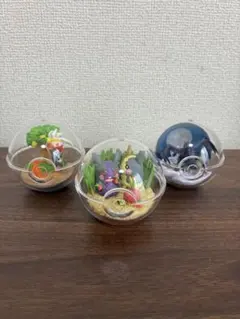 ポケットモンスター テラリウムコレクション 3種セット
