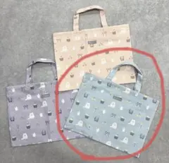 【新品未使用】レッスンバック