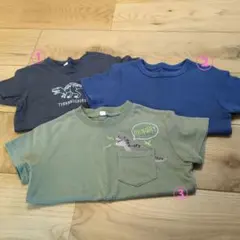 恐竜プリントTシャツ3枚セット 95センチ