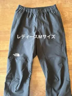 ザ・ノース・フェイス アルパインライトパンツNTW52927 レディースMサイズ