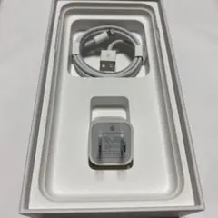 iPhone純正イヤホン付属品　充電器セット