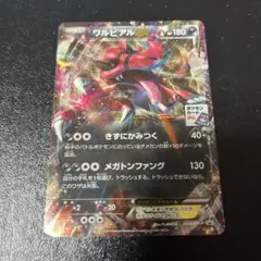 ポケモンカード　ワルビアルEX ジムプロモ　XYのサムネイル