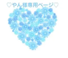♡やん様専用ページ♡