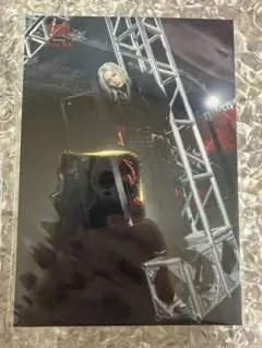 Stray Kids フィリックス　ラントレ　dominATE スキズ