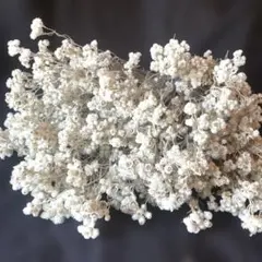 W.Style様 リクエスト 3点 まとめ商品