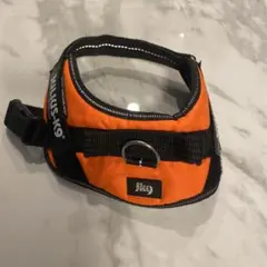 Item thumbnail for item 87dd1988-f758-4a45-9e12-79a62601ab3e