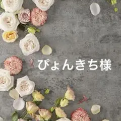 ぴょんきち様 リクエスト 5点 まとめ商品