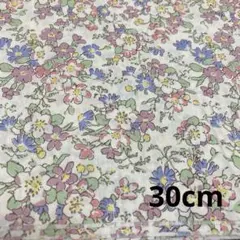 リバティ　ヘリテージ・ローズ　30cm